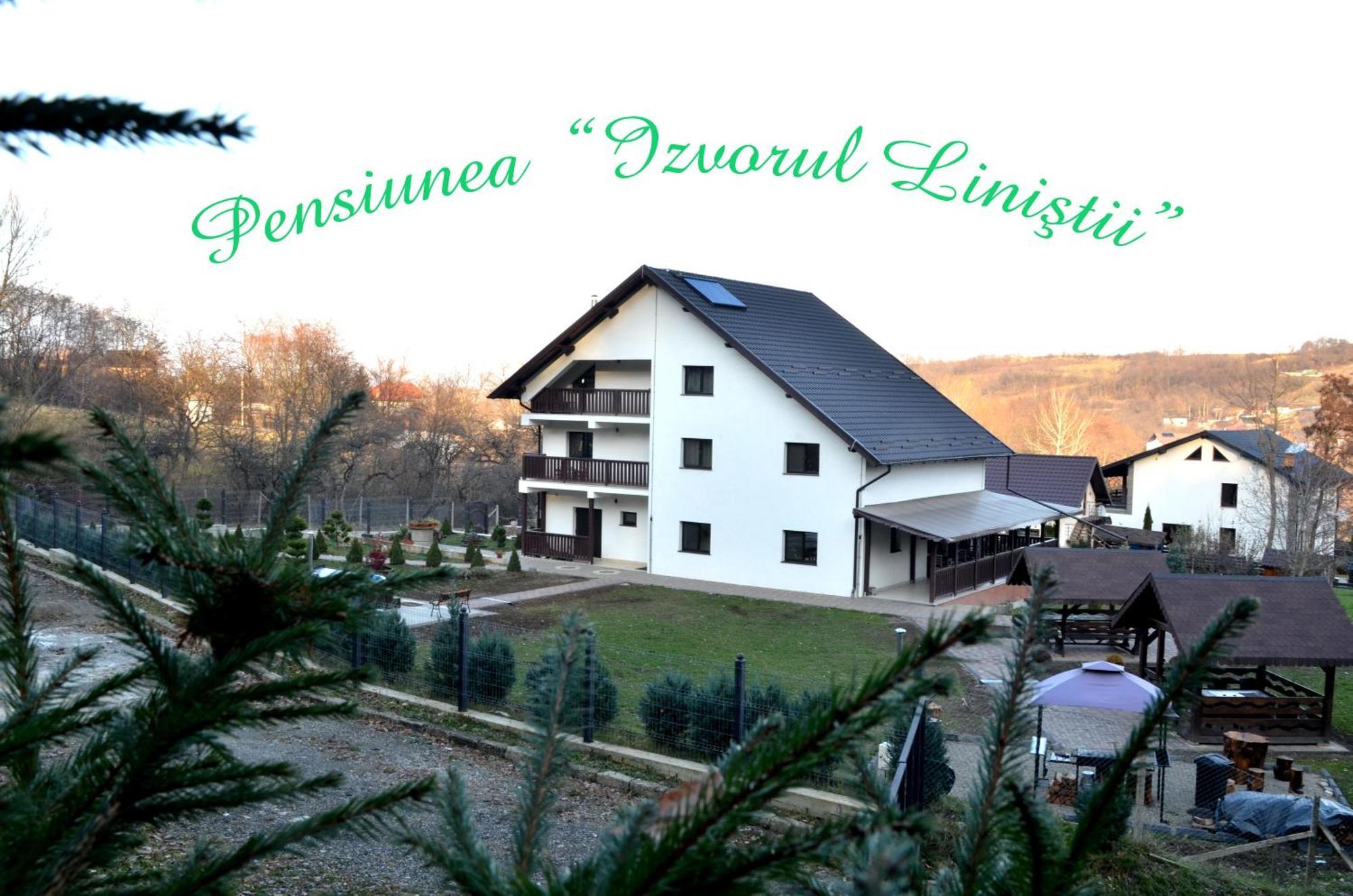 Pensiunea Izvorul Linistii Radaseni Kültér fotó